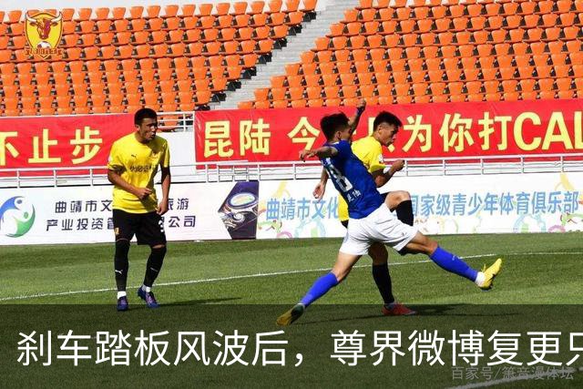 刹车踏板风波后，尊界微博复更只发了组图